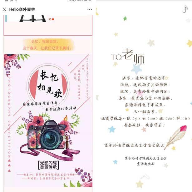 摄影比赛及三八妇女节电子贺卡截图 摄影比赛及三八妇女节电子贺卡截图